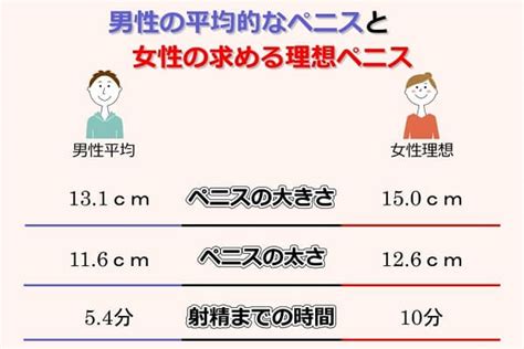 亀頭の平均と女性の理想のサイズは？大きくする方法7個